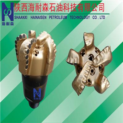 91/2HS952XA Good Quality API Specs Lowest Price Petroleum Steel Body PDC Drill Bits