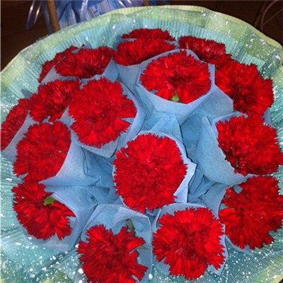 Flower Sleeves For Decoration