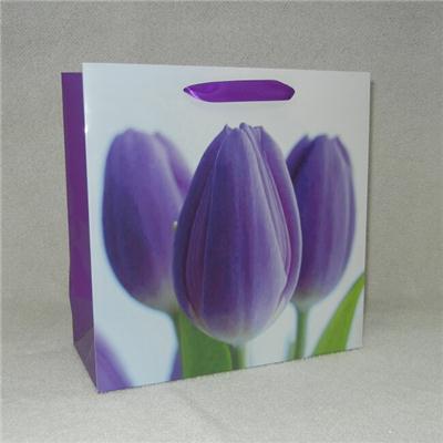 White Cardboard Paper Bag For Mother's Day