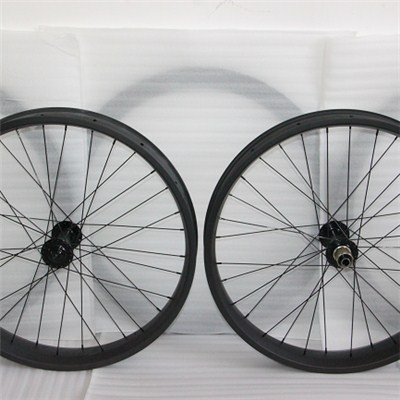 Carbon Fat Bike Wheels