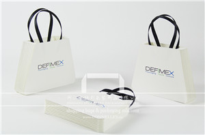 promotional printed gift paper bag
