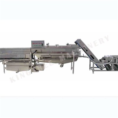 Olive Sorting And Cleaning Machine