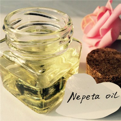 Nepeta Oil