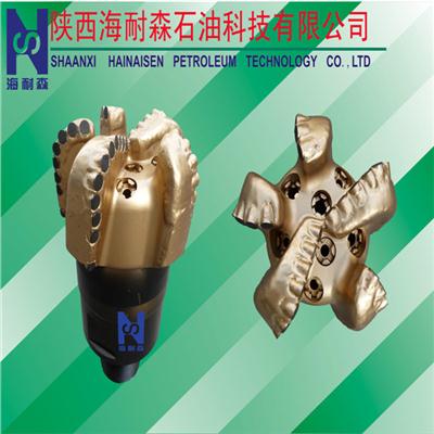 Water Well Drilling / Coal Mining Use Concave PDC Drill Bits For Sandstone, Limestone, Clay Geological PDC Core