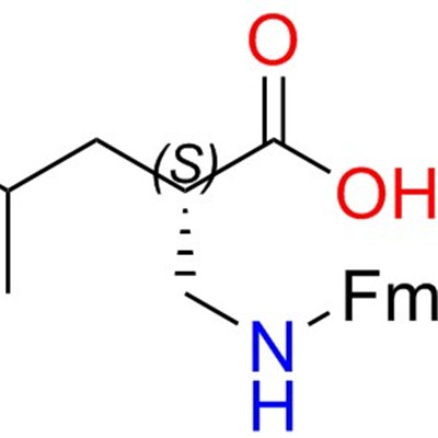 Fmoc-(S)-2-(aminomethyl)-4-methylpentanoic Acid