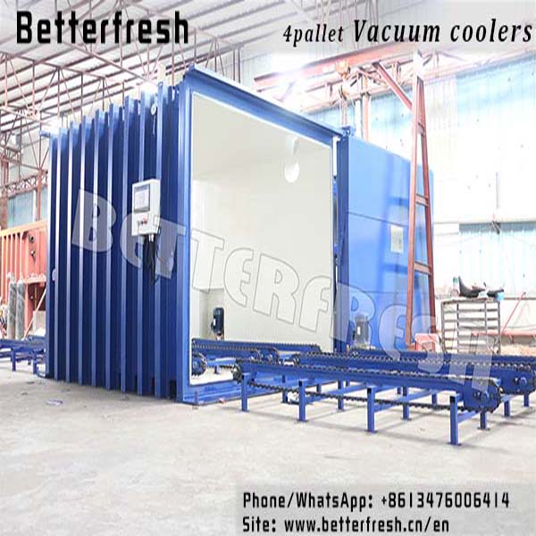 Betterfresh high temperature Rapid cooling increase shelf life Precoolers Vacuum coolers for food vegetables Bread Lettuce Broccoli