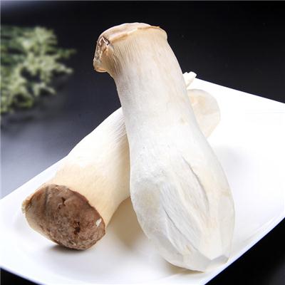 Canned King Oyster Mushroom