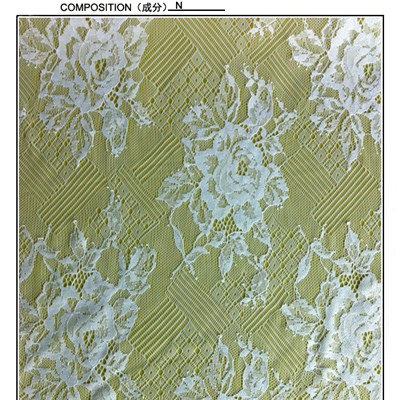White Color Lace Fabric (R2109)