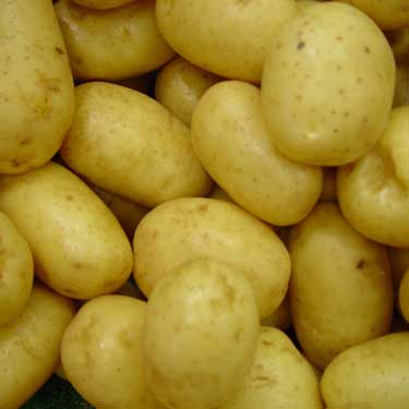 Fresh frozen potatoes