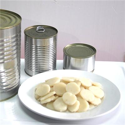 Canned Water Chestnut