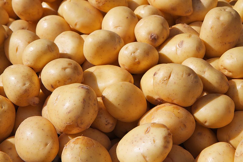 Frozen potatoes