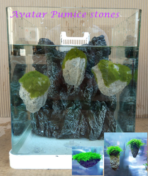 Avatar pumice stone aquarium decoration