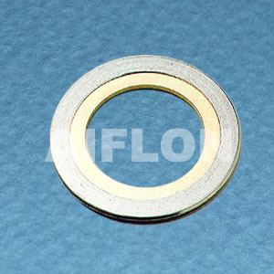 Spiral Wound Gasket With Inner RingSW 6000 IR