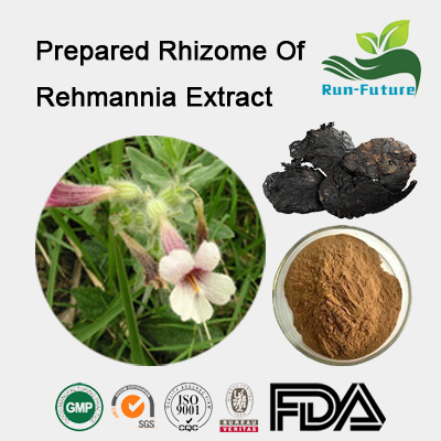 Prepared Rhizome Of Rehmannia Extract