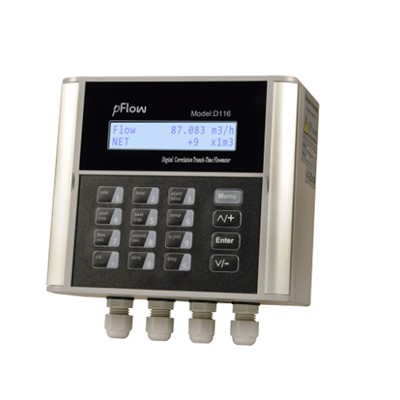 Industrial Ultrasonic Flowmeter D116