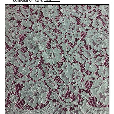 Raschel Eyelash Lace Fabric (E2127)