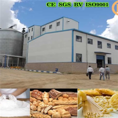 Egypt Wheat Flour Milling Machine 250T Per 24h