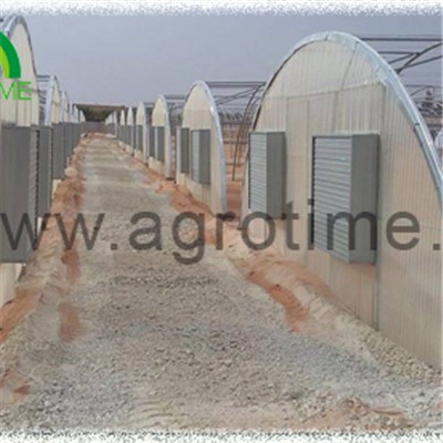 Single Tunnel Polycabonate Greenhouse