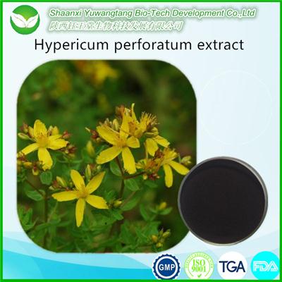 Hypericum Perforatum Extract
