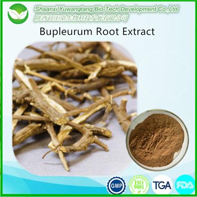 Bupleurum Root Extract
