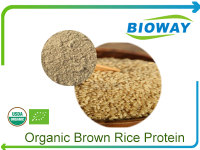Organic Brown Rice Protein