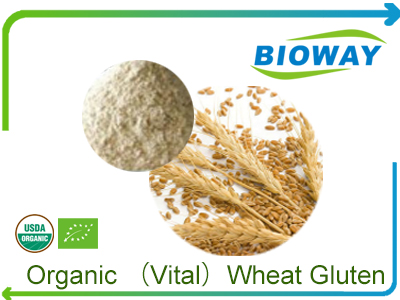 Organic Wheat Gluten