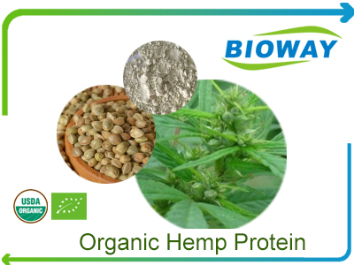 Organic Hemp Protein