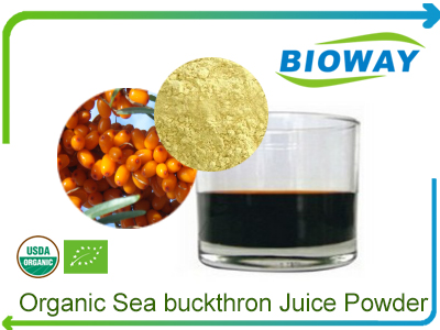 Organic Sea Buckthorn Juice Powder