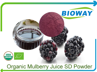 Organic Mulberry Juice Powder