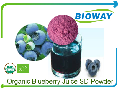 Organic Blueberry Juice Powder