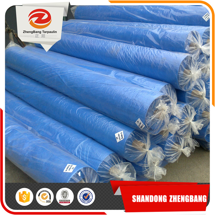 Cheap China PE tarpaulin Roll | Blue PE tarpaulin in Rolls