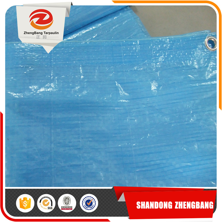 Clear green PE tarpaulin plastic sheet with all specifications