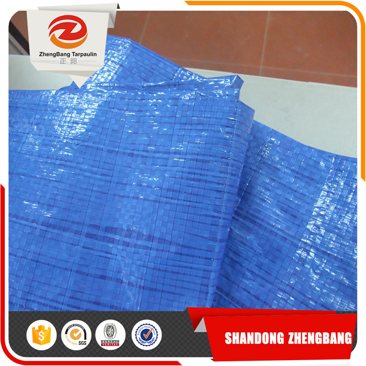 PE tarpaulin fabric customized Chinese factory