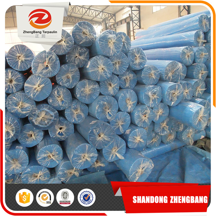 All Purpose China Blue Plastic Pe Tarpaulin In Rolls