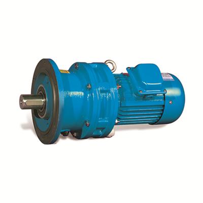 Cycloidal Planetary Gear Speed Reducer