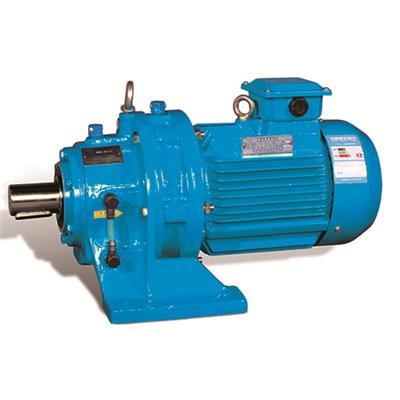 Cycloidal Speed Reducer with Motor