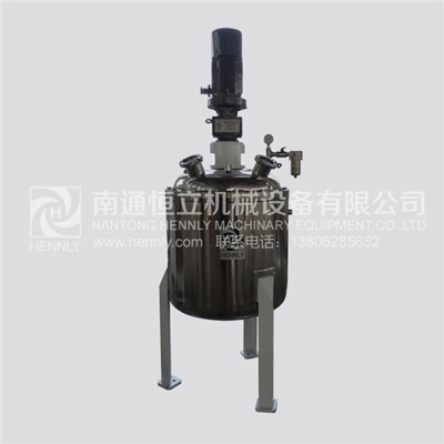 Stainless Steel Agitated Tank