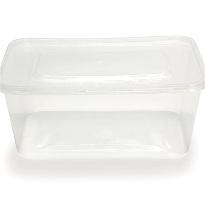 Clear Disposable Plastic Food Box