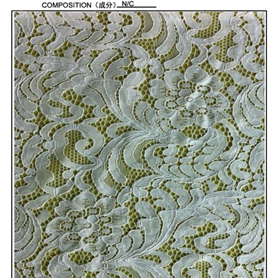 Nylon And Cotton Lace Fabric (R2096)