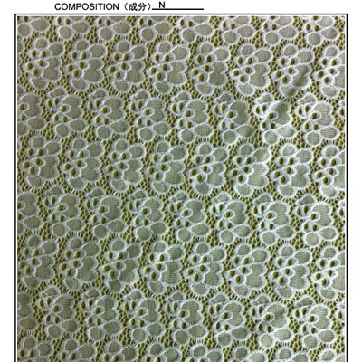 Swiss Nylon Lace Fabric (R2092)