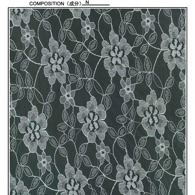 Fancy Design Lace Fabric (R510)