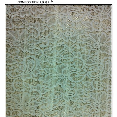 100% Nylon Lace Fabric (R590)