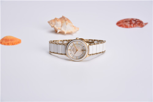 gold stainless steel ceramic watch