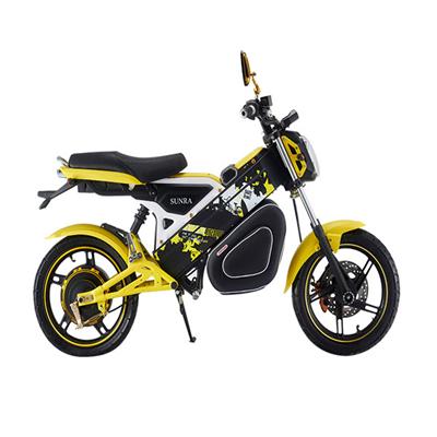 DL Best Electric Motorcycle