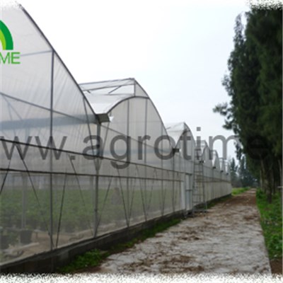 Hydroponic Plastic Greenhouse
