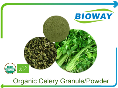 Organic Celery Granule