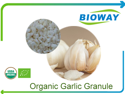 Organic Garlic Granule