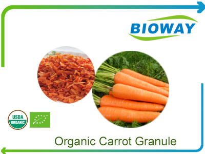 Organic Carrot Granule