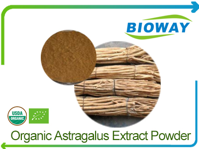 Organic Astragalus Extract Powder